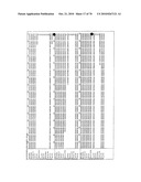 RECOMBINANT VECTOR CONTAINING INFECTIOUS HUMAN CYTOMEGALOVIRUS GENOME WITH PRESERVED WILD-TYPE CHARACTERISTICS OF CLINICAL ISOLATES diagram and image