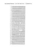 RECOMBINANT VECTOR CONTAINING INFECTIOUS HUMAN CYTOMEGALOVIRUS GENOME WITH PRESERVED WILD-TYPE CHARACTERISTICS OF CLINICAL ISOLATES diagram and image