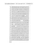 RECOMBINANT VECTOR CONTAINING INFECTIOUS HUMAN CYTOMEGALOVIRUS GENOME WITH PRESERVED WILD-TYPE CHARACTERISTICS OF CLINICAL ISOLATES diagram and image