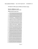 RECOMBINANT VECTOR CONTAINING INFECTIOUS HUMAN CYTOMEGALOVIRUS GENOME WITH PRESERVED WILD-TYPE CHARACTERISTICS OF CLINICAL ISOLATES diagram and image