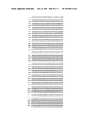 RECOMBINANT VECTOR CONTAINING INFECTIOUS HUMAN CYTOMEGALOVIRUS GENOME WITH PRESERVED WILD-TYPE CHARACTERISTICS OF CLINICAL ISOLATES diagram and image