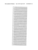 RECOMBINANT VECTOR CONTAINING INFECTIOUS HUMAN CYTOMEGALOVIRUS GENOME WITH PRESERVED WILD-TYPE CHARACTERISTICS OF CLINICAL ISOLATES diagram and image