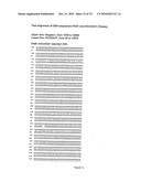 RECOMBINANT VECTOR CONTAINING INFECTIOUS HUMAN CYTOMEGALOVIRUS GENOME WITH PRESERVED WILD-TYPE CHARACTERISTICS OF CLINICAL ISOLATES diagram and image