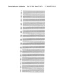 RECOMBINANT VECTOR CONTAINING INFECTIOUS HUMAN CYTOMEGALOVIRUS GENOME WITH PRESERVED WILD-TYPE CHARACTERISTICS OF CLINICAL ISOLATES diagram and image