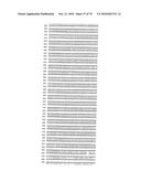 RECOMBINANT VECTOR CONTAINING INFECTIOUS HUMAN CYTOMEGALOVIRUS GENOME WITH PRESERVED WILD-TYPE CHARACTERISTICS OF CLINICAL ISOLATES diagram and image