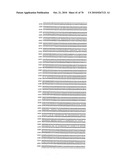 RECOMBINANT VECTOR CONTAINING INFECTIOUS HUMAN CYTOMEGALOVIRUS GENOME WITH PRESERVED WILD-TYPE CHARACTERISTICS OF CLINICAL ISOLATES diagram and image