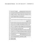 RECOMBINANT VECTOR CONTAINING INFECTIOUS HUMAN CYTOMEGALOVIRUS GENOME WITH PRESERVED WILD-TYPE CHARACTERISTICS OF CLINICAL ISOLATES diagram and image