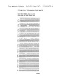 RECOMBINANT VECTOR CONTAINING INFECTIOUS HUMAN CYTOMEGALOVIRUS GENOME WITH PRESERVED WILD-TYPE CHARACTERISTICS OF CLINICAL ISOLATES diagram and image