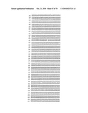 RECOMBINANT VECTOR CONTAINING INFECTIOUS HUMAN CYTOMEGALOVIRUS GENOME WITH PRESERVED WILD-TYPE CHARACTERISTICS OF CLINICAL ISOLATES diagram and image