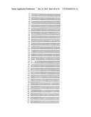 RECOMBINANT VECTOR CONTAINING INFECTIOUS HUMAN CYTOMEGALOVIRUS GENOME WITH PRESERVED WILD-TYPE CHARACTERISTICS OF CLINICAL ISOLATES diagram and image