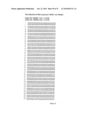 RECOMBINANT VECTOR CONTAINING INFECTIOUS HUMAN CYTOMEGALOVIRUS GENOME WITH PRESERVED WILD-TYPE CHARACTERISTICS OF CLINICAL ISOLATES diagram and image