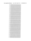 RECOMBINANT VECTOR CONTAINING INFECTIOUS HUMAN CYTOMEGALOVIRUS GENOME WITH PRESERVED WILD-TYPE CHARACTERISTICS OF CLINICAL ISOLATES diagram and image