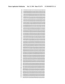 RECOMBINANT VECTOR CONTAINING INFECTIOUS HUMAN CYTOMEGALOVIRUS GENOME WITH PRESERVED WILD-TYPE CHARACTERISTICS OF CLINICAL ISOLATES diagram and image