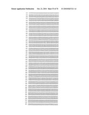 RECOMBINANT VECTOR CONTAINING INFECTIOUS HUMAN CYTOMEGALOVIRUS GENOME WITH PRESERVED WILD-TYPE CHARACTERISTICS OF CLINICAL ISOLATES diagram and image