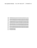 RECOMBINANT VECTOR CONTAINING INFECTIOUS HUMAN CYTOMEGALOVIRUS GENOME WITH PRESERVED WILD-TYPE CHARACTERISTICS OF CLINICAL ISOLATES diagram and image