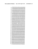 RECOMBINANT VECTOR CONTAINING INFECTIOUS HUMAN CYTOMEGALOVIRUS GENOME WITH PRESERVED WILD-TYPE CHARACTERISTICS OF CLINICAL ISOLATES diagram and image