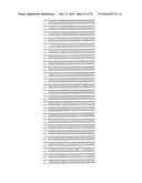 RECOMBINANT VECTOR CONTAINING INFECTIOUS HUMAN CYTOMEGALOVIRUS GENOME WITH PRESERVED WILD-TYPE CHARACTERISTICS OF CLINICAL ISOLATES diagram and image