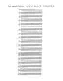 RECOMBINANT VECTOR CONTAINING INFECTIOUS HUMAN CYTOMEGALOVIRUS GENOME WITH PRESERVED WILD-TYPE CHARACTERISTICS OF CLINICAL ISOLATES diagram and image