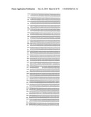 RECOMBINANT VECTOR CONTAINING INFECTIOUS HUMAN CYTOMEGALOVIRUS GENOME WITH PRESERVED WILD-TYPE CHARACTERISTICS OF CLINICAL ISOLATES diagram and image