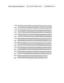 RECOMBINANT VECTOR CONTAINING INFECTIOUS HUMAN CYTOMEGALOVIRUS GENOME WITH PRESERVED WILD-TYPE CHARACTERISTICS OF CLINICAL ISOLATES diagram and image