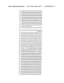 RECOMBINANT VECTOR CONTAINING INFECTIOUS HUMAN CYTOMEGALOVIRUS GENOME WITH PRESERVED WILD-TYPE CHARACTERISTICS OF CLINICAL ISOLATES diagram and image