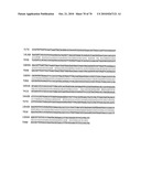 RECOMBINANT VECTOR CONTAINING INFECTIOUS HUMAN CYTOMEGALOVIRUS GENOME WITH PRESERVED WILD-TYPE CHARACTERISTICS OF CLINICAL ISOLATES diagram and image