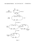 Compositions and method for use in isolation of nucleic acid molecules diagram and image