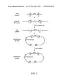 Compositions and method for use in isolation of nucleic acid molecules diagram and image