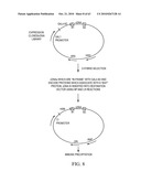 Compositions and method for use in isolation of nucleic acid molecules diagram and image