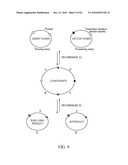 Compositions and method for use in isolation of nucleic acid molecules diagram and image