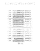 Compositions and method for use in isolation of nucleic acid molecules diagram and image