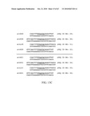 Compositions and method for use in isolation of nucleic acid molecules diagram and image