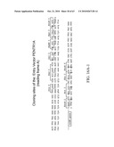 Compositions and method for use in isolation of nucleic acid molecules diagram and image