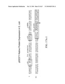 Compositions and method for use in isolation of nucleic acid molecules diagram and image