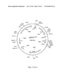 Compositions and method for use in isolation of nucleic acid molecules diagram and image