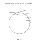 Compositions and method for use in isolation of nucleic acid molecules diagram and image