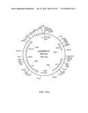 Compositions and method for use in isolation of nucleic acid molecules diagram and image