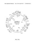 Compositions and method for use in isolation of nucleic acid molecules diagram and image