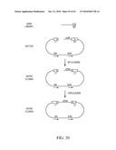 Compositions and method for use in isolation of nucleic acid molecules diagram and image