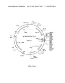 Compositions and method for use in isolation of nucleic acid molecules diagram and image