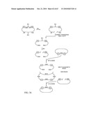 Compositions and method for use in isolation of nucleic acid molecules diagram and image