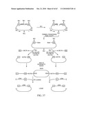 Compositions and method for use in isolation of nucleic acid molecules diagram and image