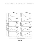 Isolation, characterization and differentiation of in vitro adult human germ line stem cells diagram and image