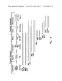 Isolation, characterization and differentiation of in vitro adult human germ line stem cells diagram and image