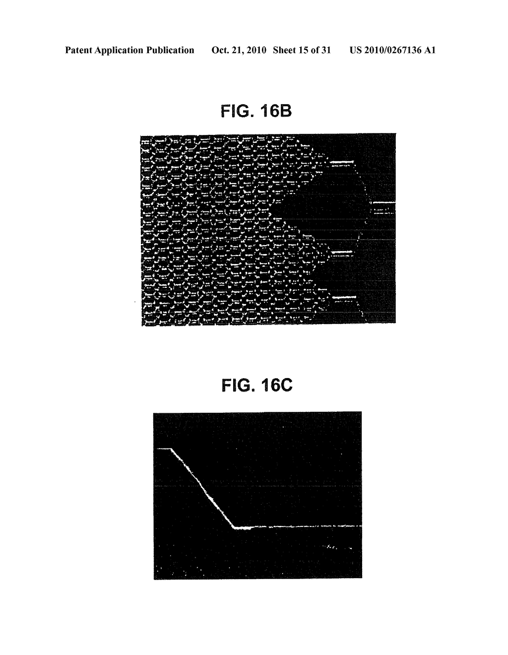 FABRICATION OF VASCULARIZED TISSUE USING MICROFABRICATED TWO-DIMENSIONAL MOLDS - diagram, schematic, and image 16