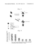 IMMUNOCOMPETENT CELL HAVING ANTI-CD38 ANTIBODY ON ITS CELL SURFACE diagram and image