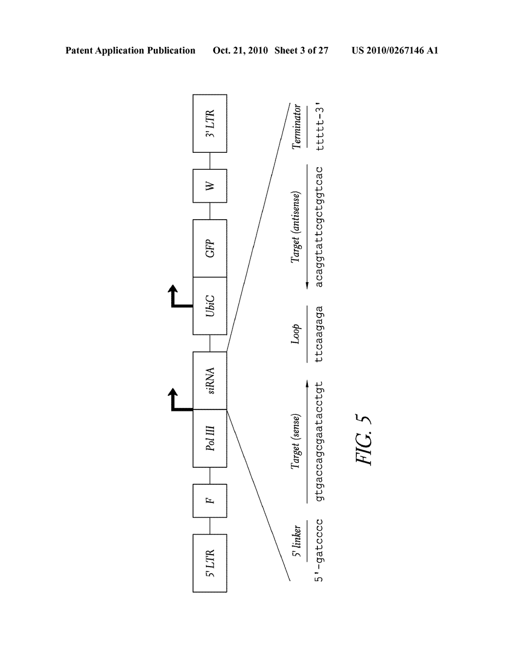 METHOD FOR EXPRESSION OF SMALL ANTIVIRAL RNA MOLECULES WITH REDUCED CYTOTOXICITY WITHIN A CELL - diagram, schematic, and image 04