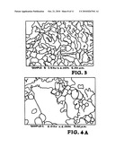Nano-ceramics and method thereof diagram and image
