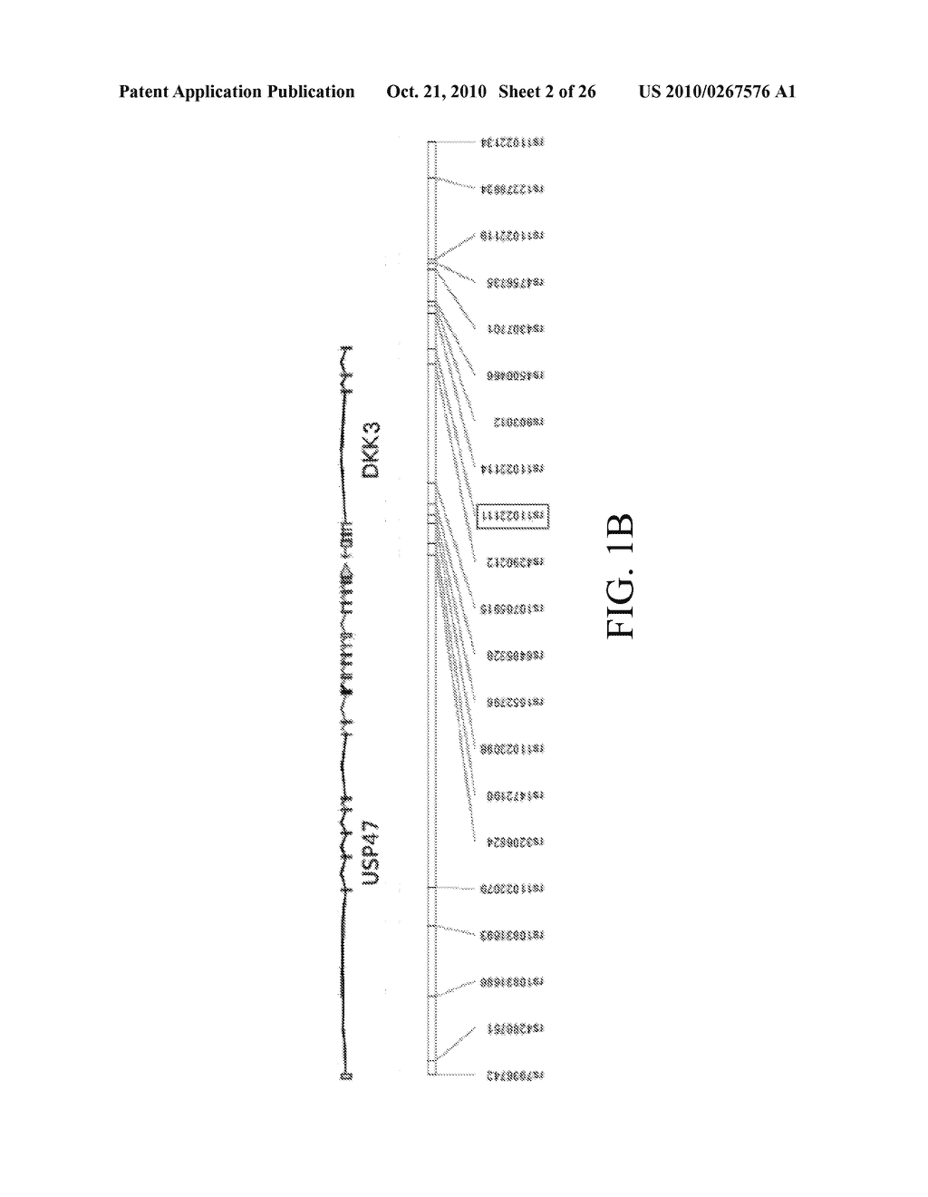 Compositions And Methods For Identifying And Treating Subjects At Risk Of Developing Type 2 Diabetes - diagram, schematic, and image 03