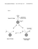 PROBE DENSITY SELF-CONSIDERATIONS AND ELONGATION OF COMPLEMENTARY LOOPED PROBES WHERE PROBES ARE ATTACHED TO A SOLID PHASE diagram and image